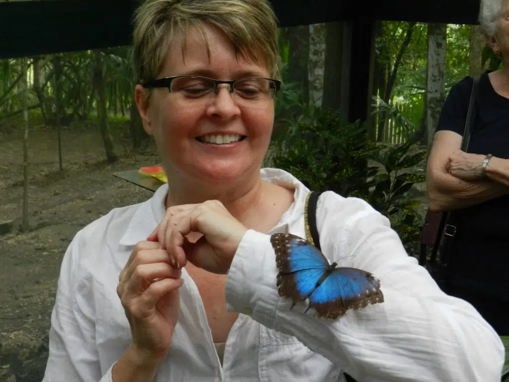 Blue Morpho Butterfly Farm