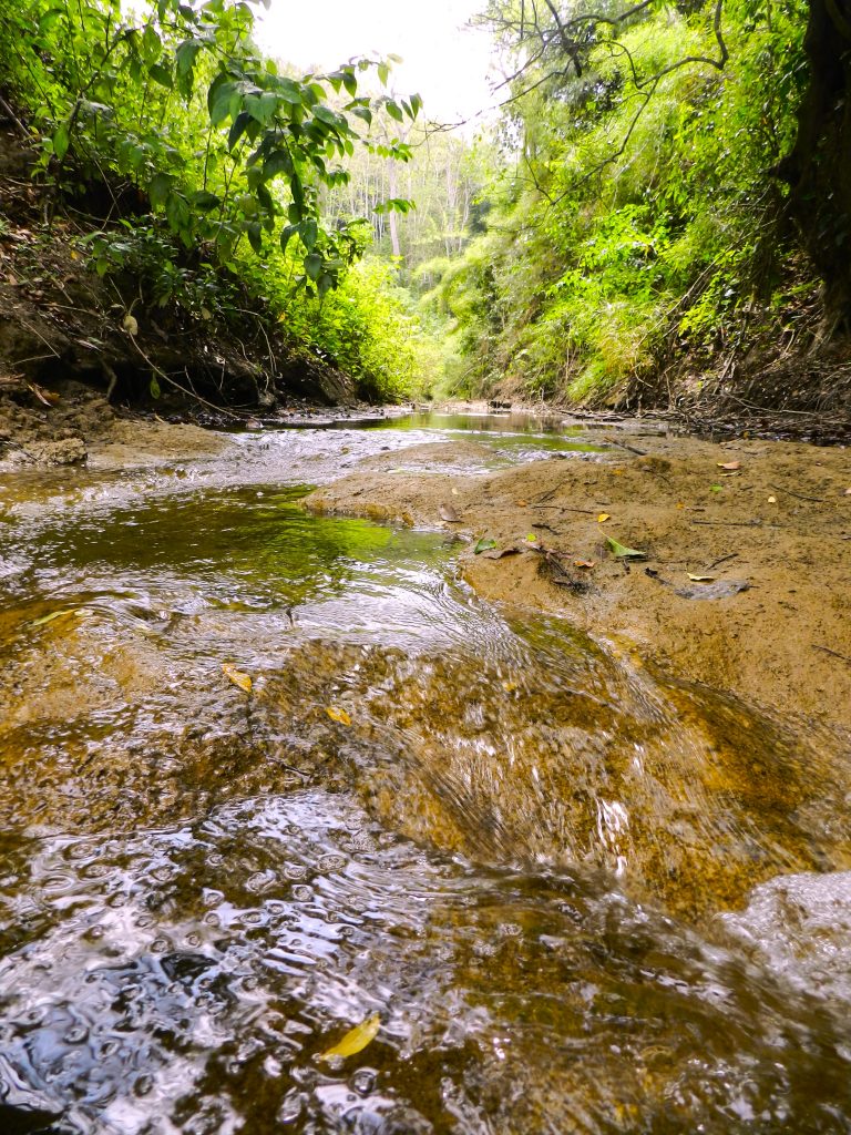 Belize ecosystems