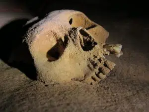 ATM Cave Skull