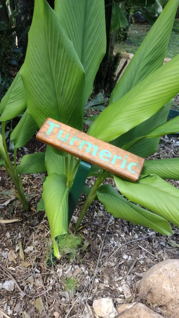 Turmeric Belize Retreat