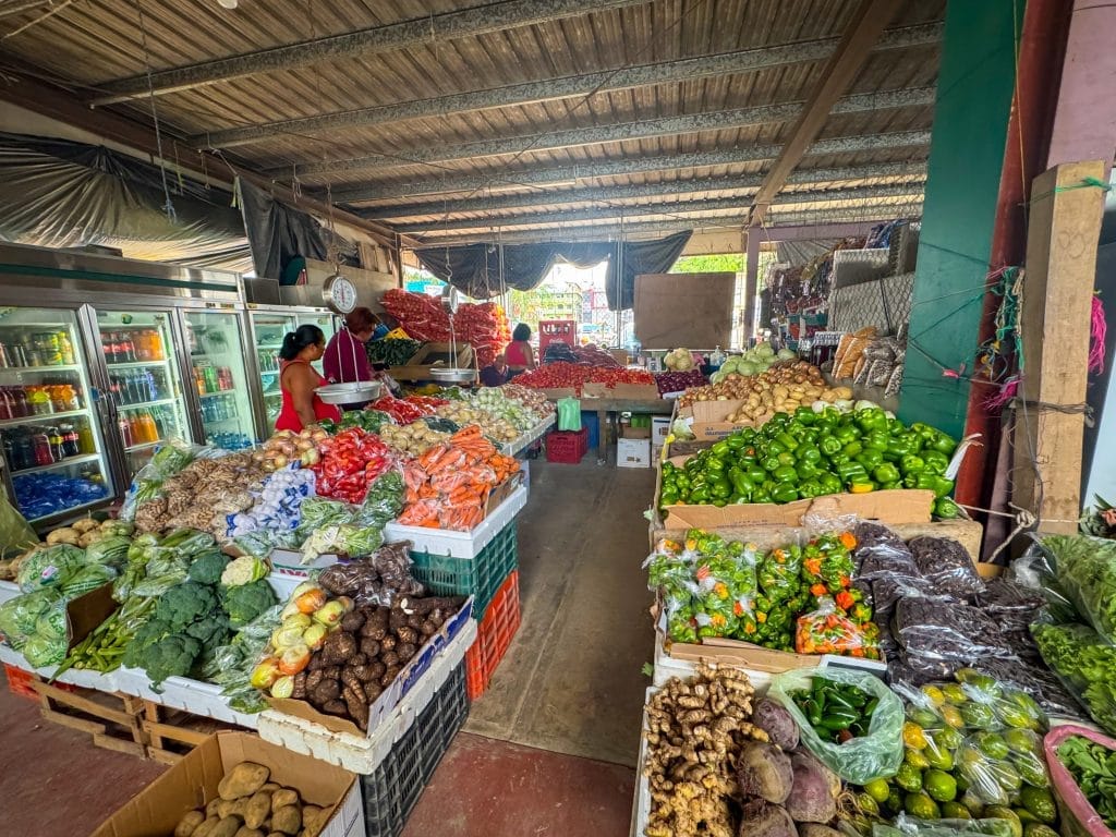 San Ignacio Farmers Market