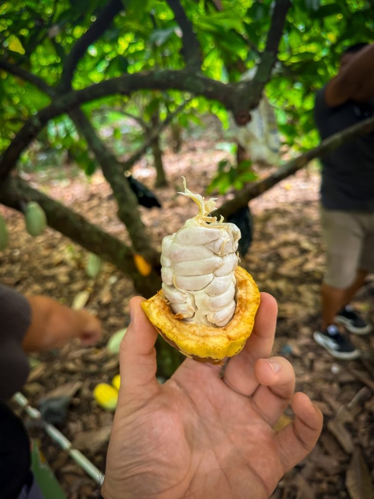 belize affordable authentic culture