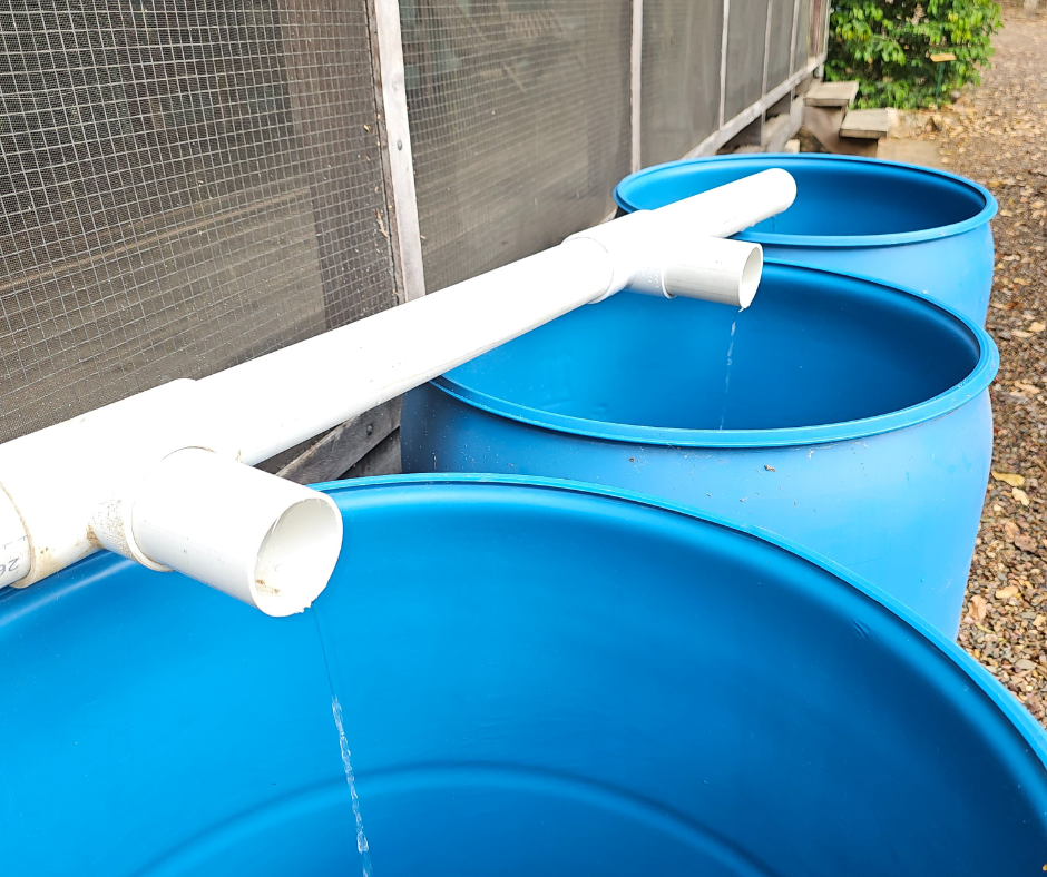 Rain barrels