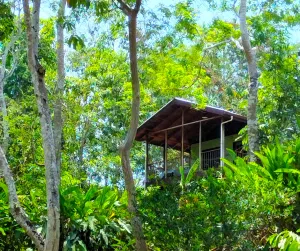 Lucky Dreamer Lodge Bungalow