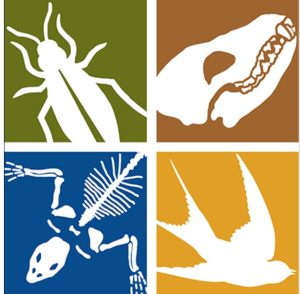 Belize Natural History Archive & Museum