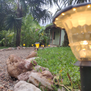 Eco-Tourism in Belize