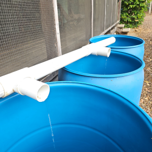 Eco-Tourism in Belize