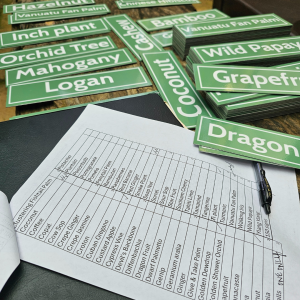 Eco-Tourism in Belize